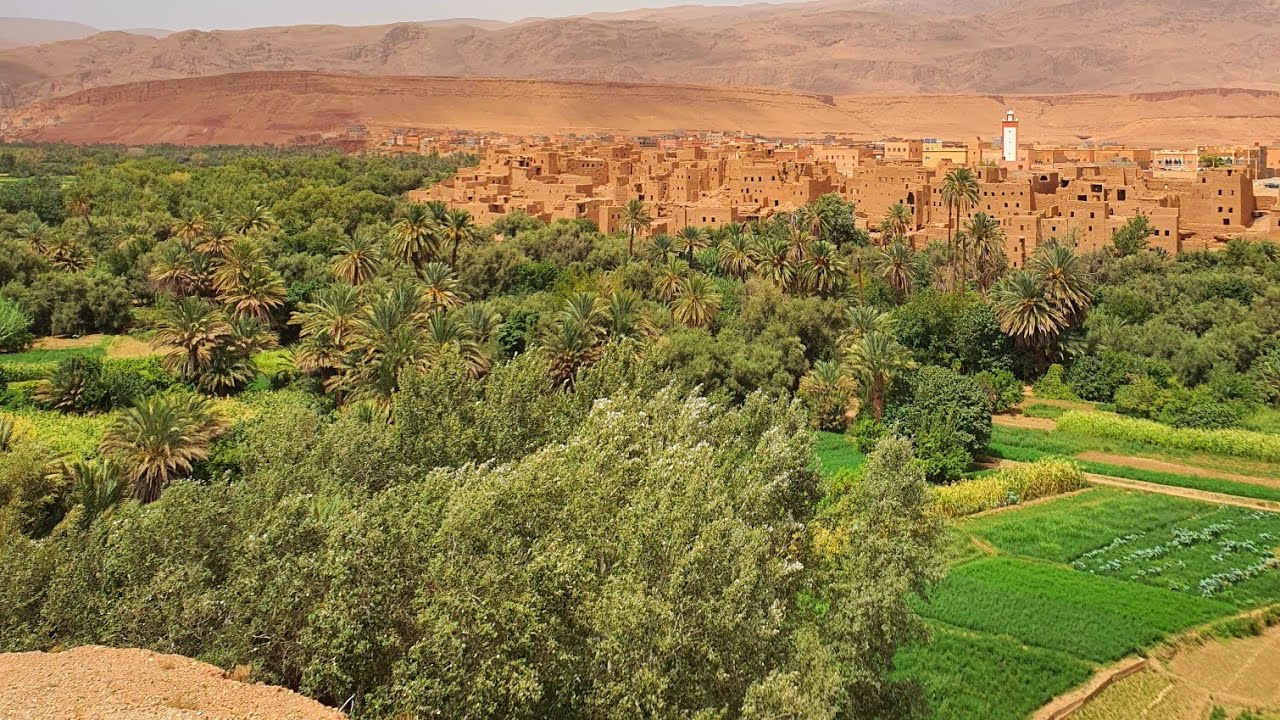 Morocco Expert Tours Recent Travels! 