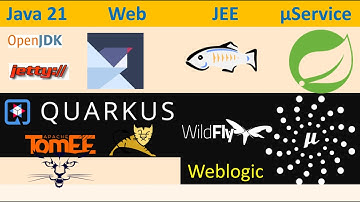 Java 21 - Which is the BEST Java Web Server | JEE Application Server | Microservices Framework