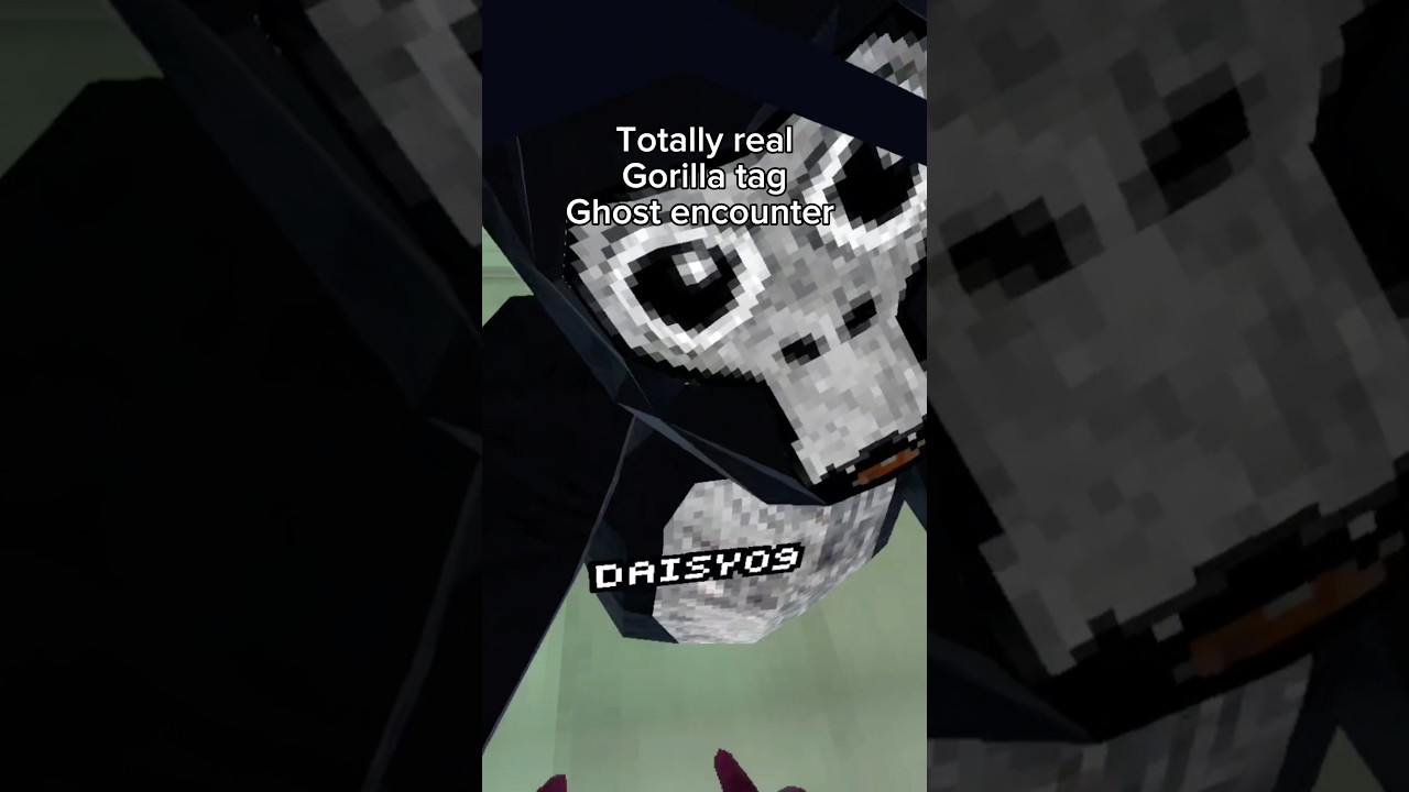 Extremely real gorilla tag ghost sighting 