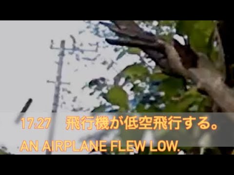 EDR June #7 2021 Plane Flew Low