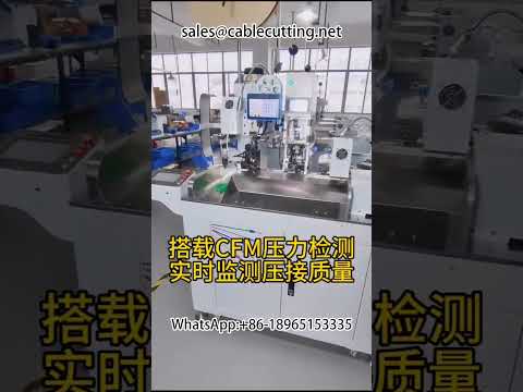 Automatic Tin Penetration Plug Terminal Machine for Factory Automation