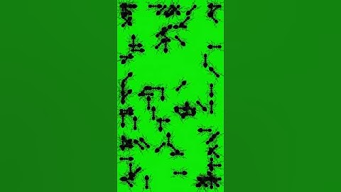 Ant Simulation Python #programming #simulation #math #computer #python # pygame