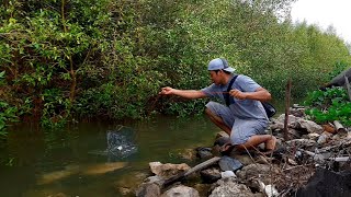 BORONG Kepiting Setelah Air Pasang Di Lihatin 3 Orang Narik Bubu Disini