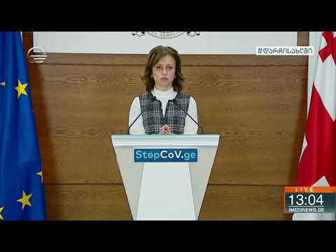 ეკატერინე ტიკარაძის ბრიფინგი