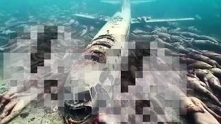 What This Underwater Drone Captured Terrifies The Whole World