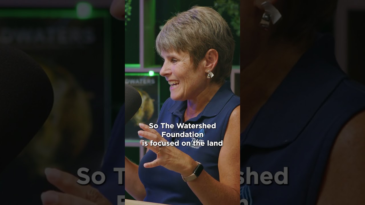 Did you know a mud puddle has a watershed? It's land that drains to a particular body of water.