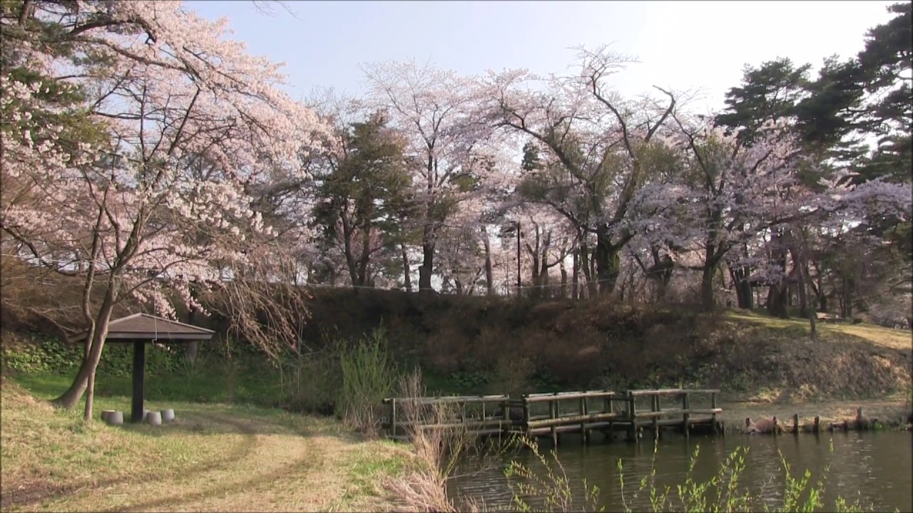 旅エイター 桜前線 舘野公園 ビデオ映像 青森県六戸町 一人旅 Youtube