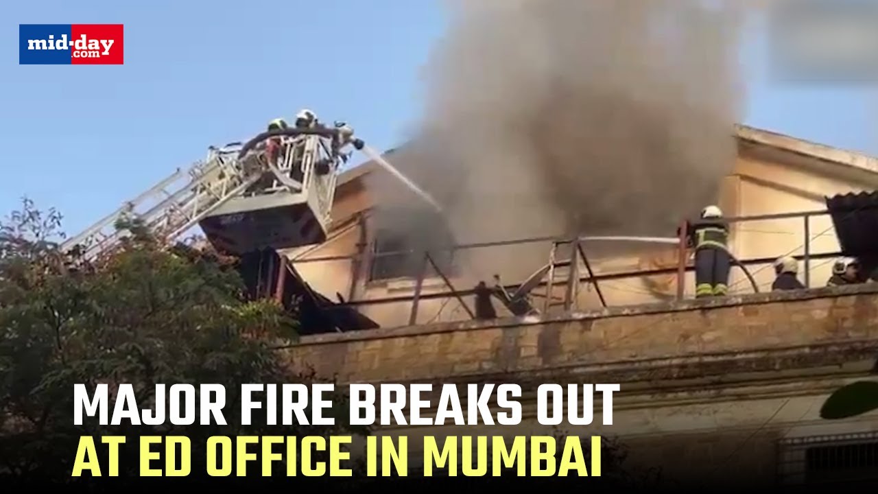 Fire erupts at ED office in South Mumbai, No casualties reported - Watch video