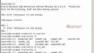 how to do hotbackup in oracle database