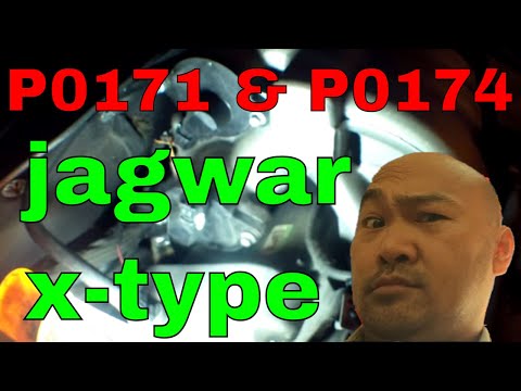 Jaguar X Type Vacuum Leak