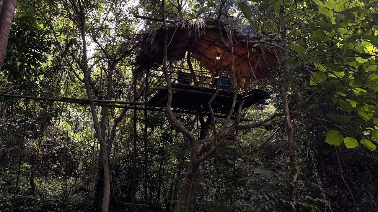 นอนบ้านต้นไม้กลางคืนมีเสียงผู้หญิงร้องโหยหวนน่ากลัวและหัวเราะใกล้ที่พัก