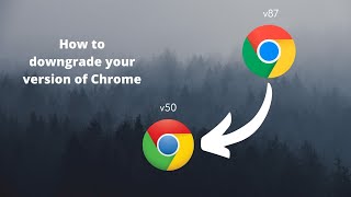 How to downgrade your version of Chrome