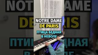 Notre Dame de Paris - Les oiseaux quon met en cage / Птица бедная в неволе - Piano #shorts