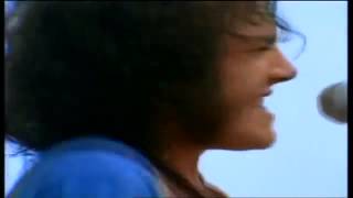 Joe Cocker   Let's Go Get Stoned LIVE in Woodstock HD