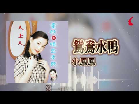 小鳳鳳『鴛鴦水鴨』官方歌詞版 | Official Lyric Video
