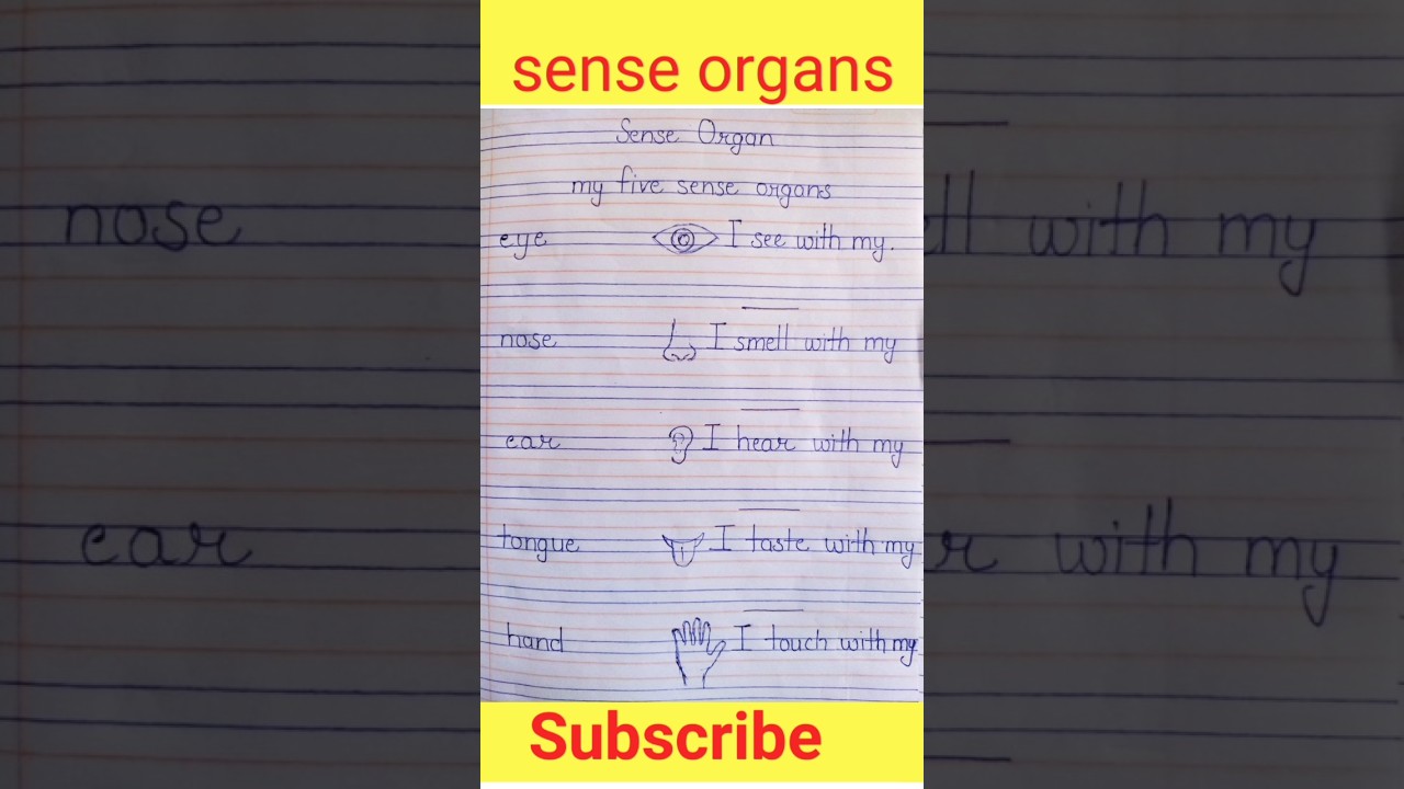 Five Sense organs / English speaking  practice / 