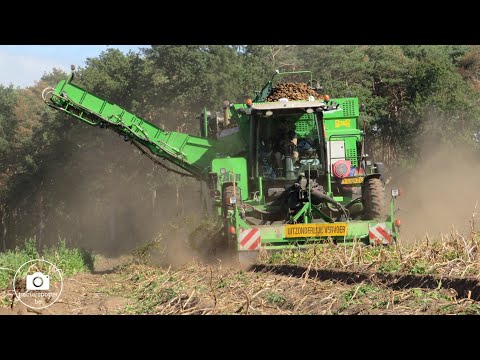 Video: Aartappels: 3 Weke Plantvoorbereidingstegniek