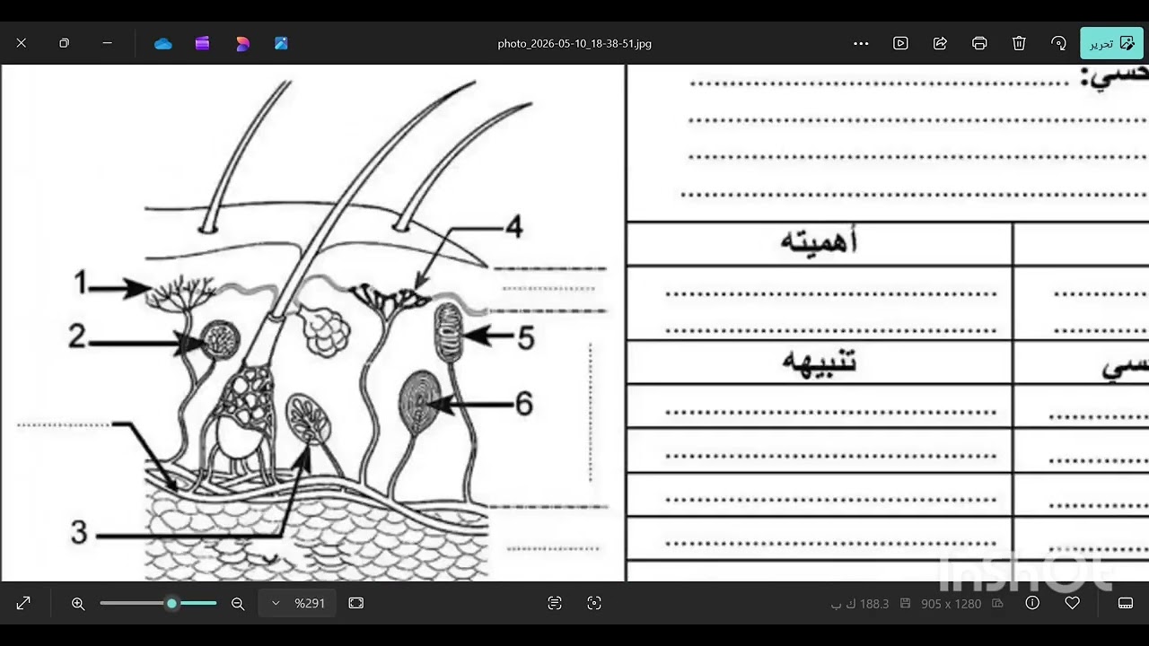 الحصة 02من معسكر المراجعة الشاملة ل #شهادة_التعليم_المتوسط #علوم_الطبيعة_و_الحياة #رابعة_متوسط 