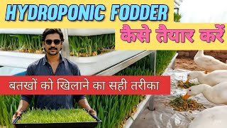 Hydroponic Fodder कैसे तैयार करें | Hydroponic Fodder Technique | Forest Farming
