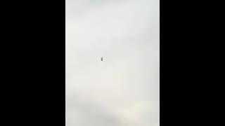 HY Crystal Swiftlet sound tested at area sabah
