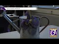 WIU honors students who have passed away with tree memorial