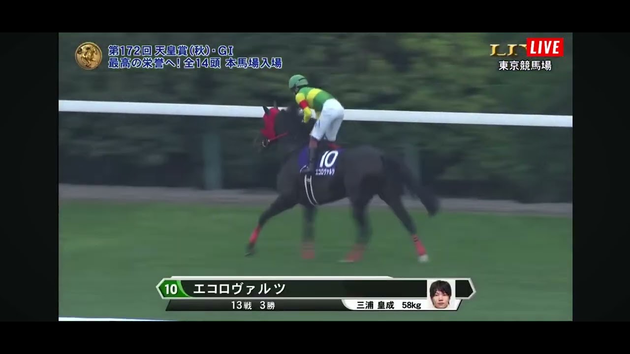 2025 天皇賞秋　G1 本馬場入場