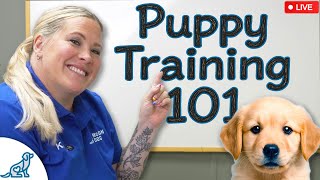 Puppy Training Troubleshooting - Subscriber Q&A