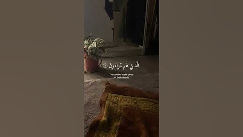﴿فَوَيْلٌ لِّلْمُصَلِّينَ﴾ سورة الماعون صوت عبد الرحمن مسعد #عبدالرحمن مسعد#قران كريم اجر لي ولك