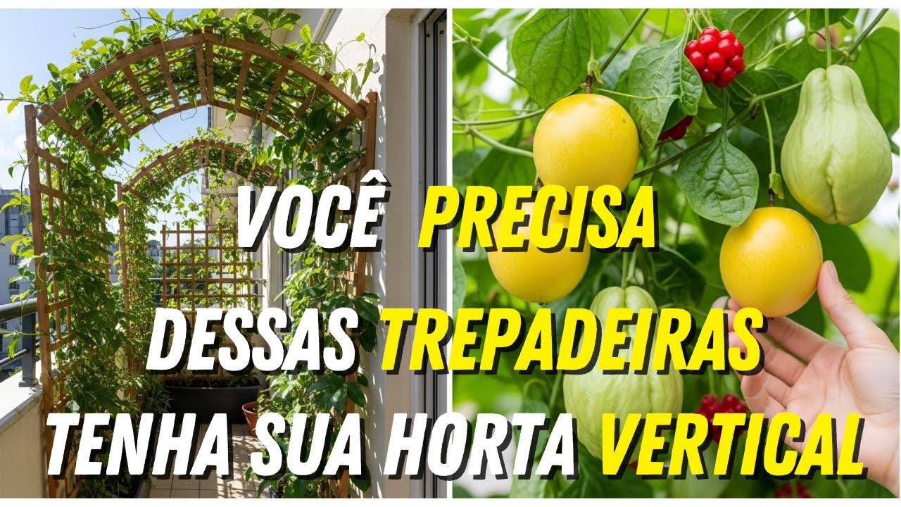 10 MELHORES Trepadeiras Perenes Comestíveis para Jardins Pequenos