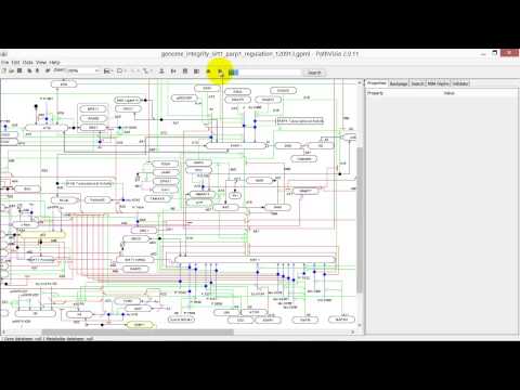 Using PathVisio for Pathway Analysis: Navigate and Search