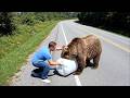 Animals That Asked People for Help &amp; Kindness