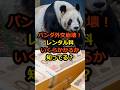 パンダ外交崩壊!?レンタル料いくらかかるか知ってる?