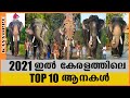 Top 10 Popular Elephants in 2021 🔥🔥 കേരളത്തിലെ 10 പ്രശസ്ത ആനകൾ 🐘 Kerala elephants and their details