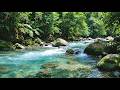 Serene River Flow Sounds 🌿 Natural White Noise for Calm