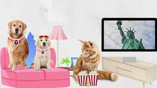 Tatlı  Köpekler Serisi 1. Sezon 2. Bölüm screenshot 4