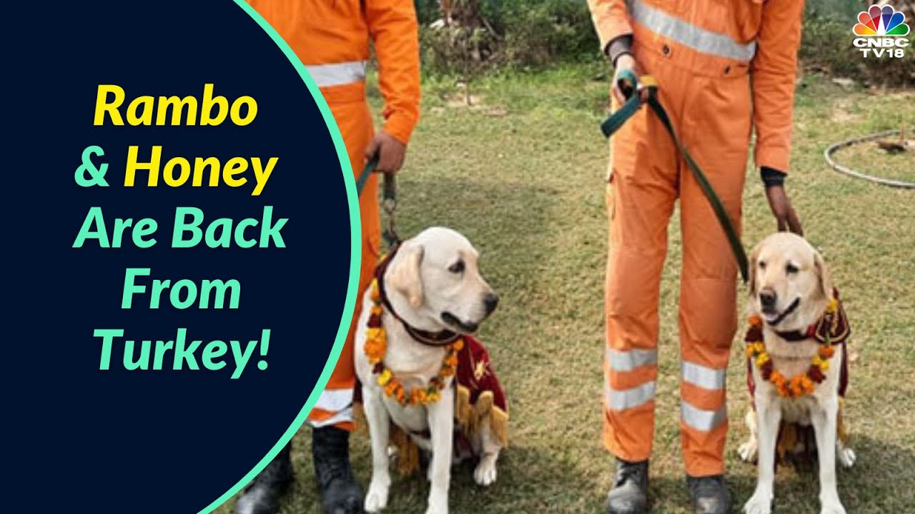 NDRF Team, Dog Squad Members Rambo And Honey Return To India After 10-Day Rescue Operation In Turkey