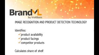 BrandML quick start