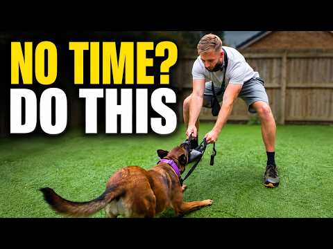 How To Train Your Dog When You’re Short On Time (10-Minute Routine)