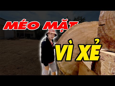 Video ???? Áp lực xẻ gỗ bạc đầu vì xẻ cây gỗ gõ đỏ pachy lỗ... - youtube