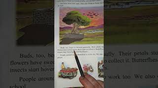 Evs std 3 chap no 25 Changes in our surrounding explanation video