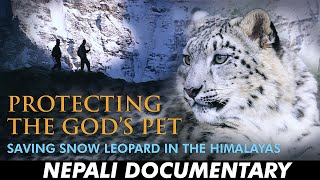 Protecting the God's Pet: Saving Snow Leopards in the Himalayas