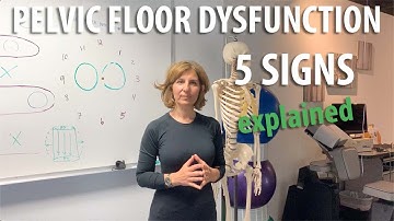 5 signs of Pelvic Floor Dysfunction explained by Core Pelvic Floor Therapy Doctor