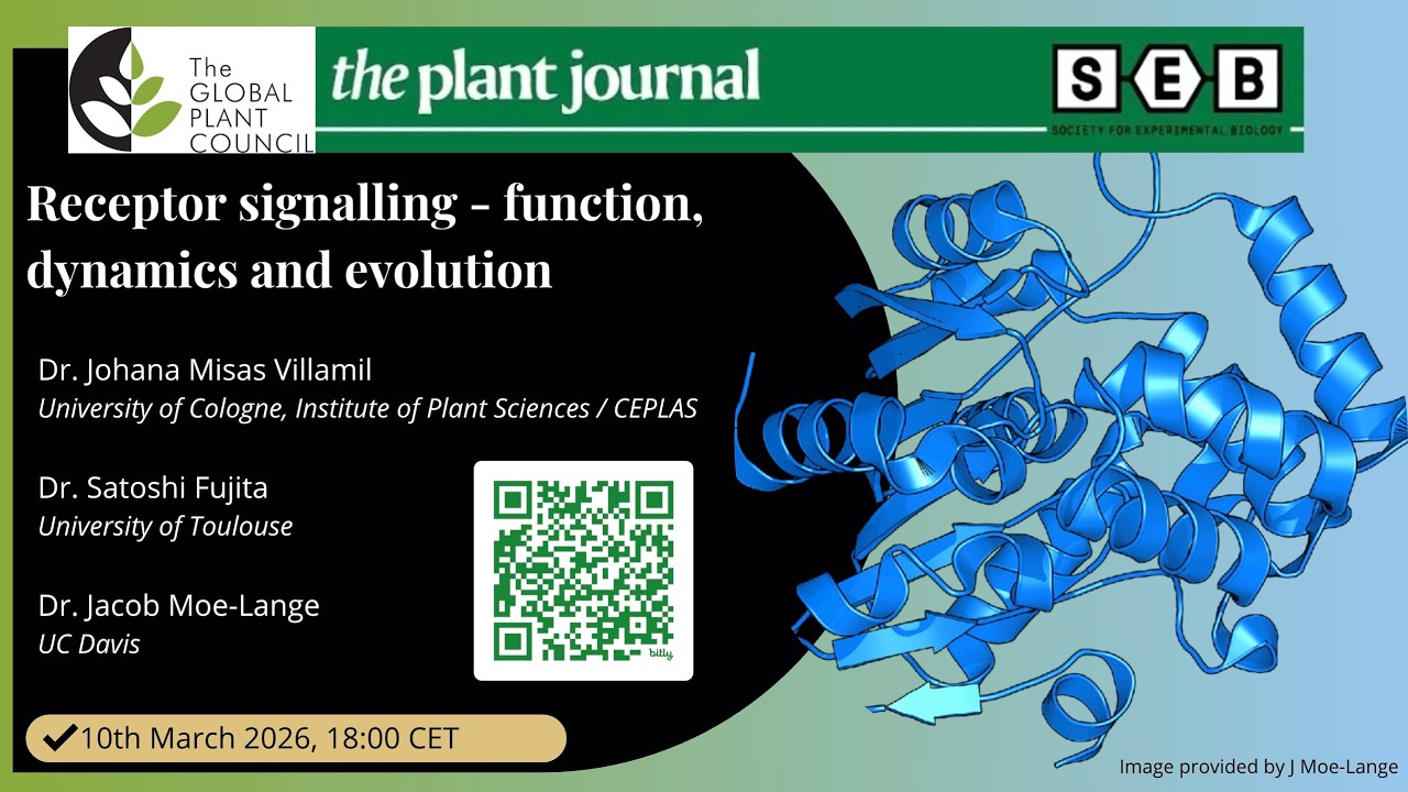 Receptor signalling - function, dynamics and evolution