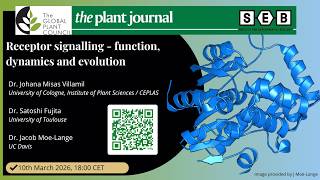 Receptor signalling - function, dynamics and evolution