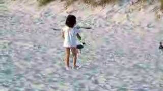 chasing seagulls on Clearwater Beach