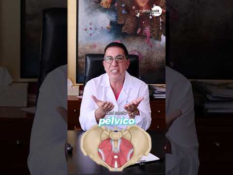 TODO SOBRE EL  SUELO PÉLVICO / DR VELIT