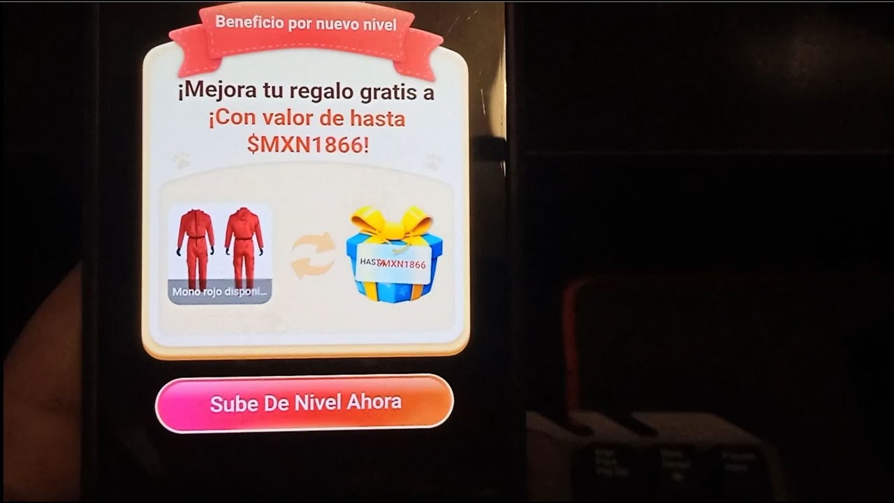 Guardería canina de 