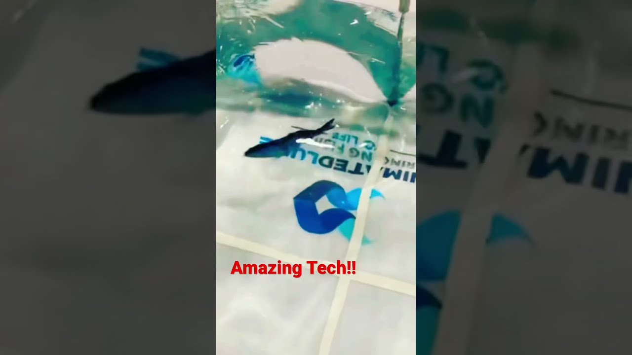 Amazing Robotic Fishing Lure