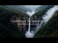 世界で1番癒される場所〜深緑ヒーリングウォーク〜