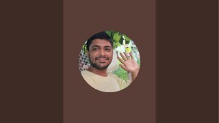 Dey Barir Kotha is live